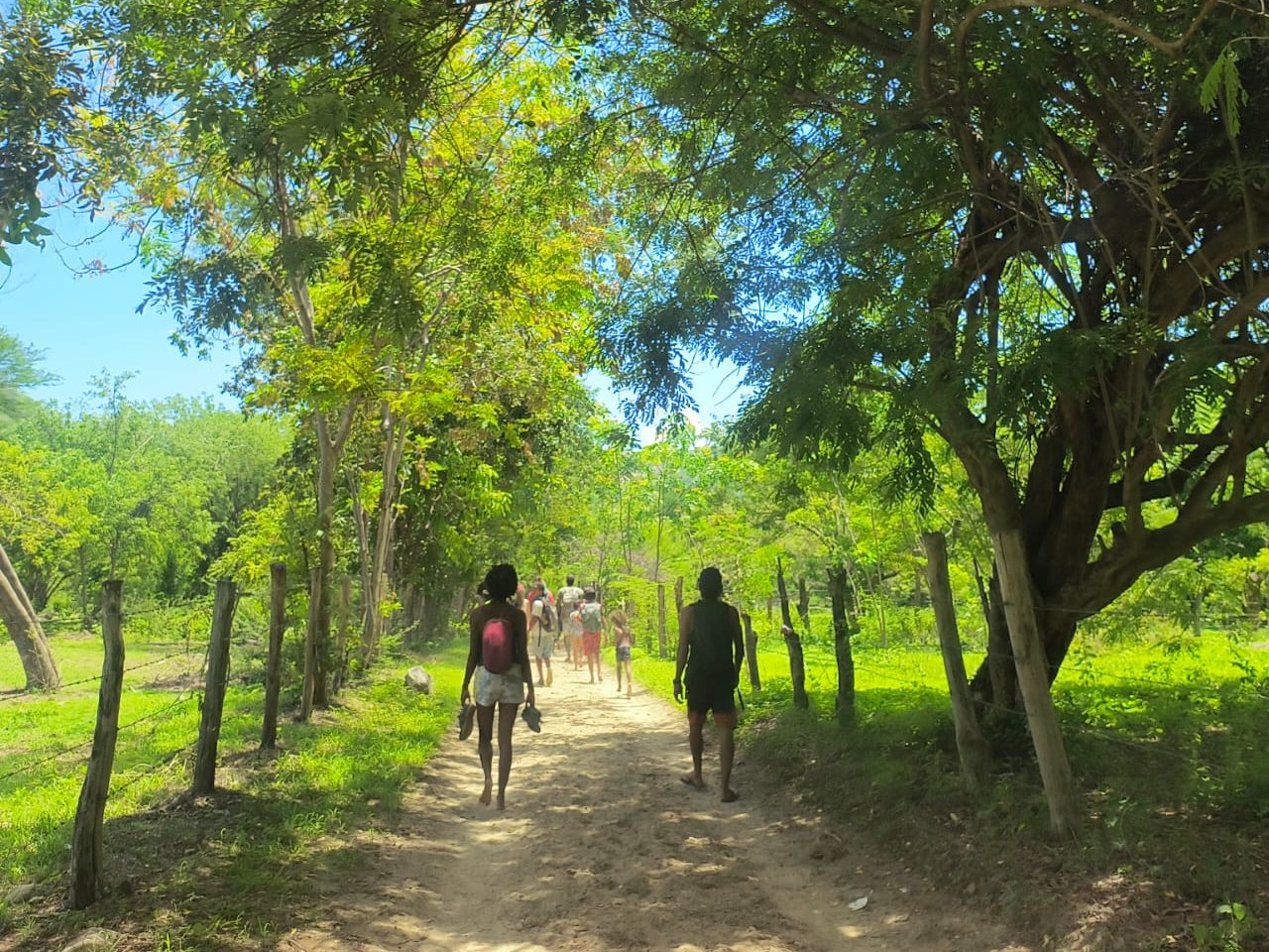 Un grupo caminando por un sendero de tierra bajo los árboles, cerca de Zapotal